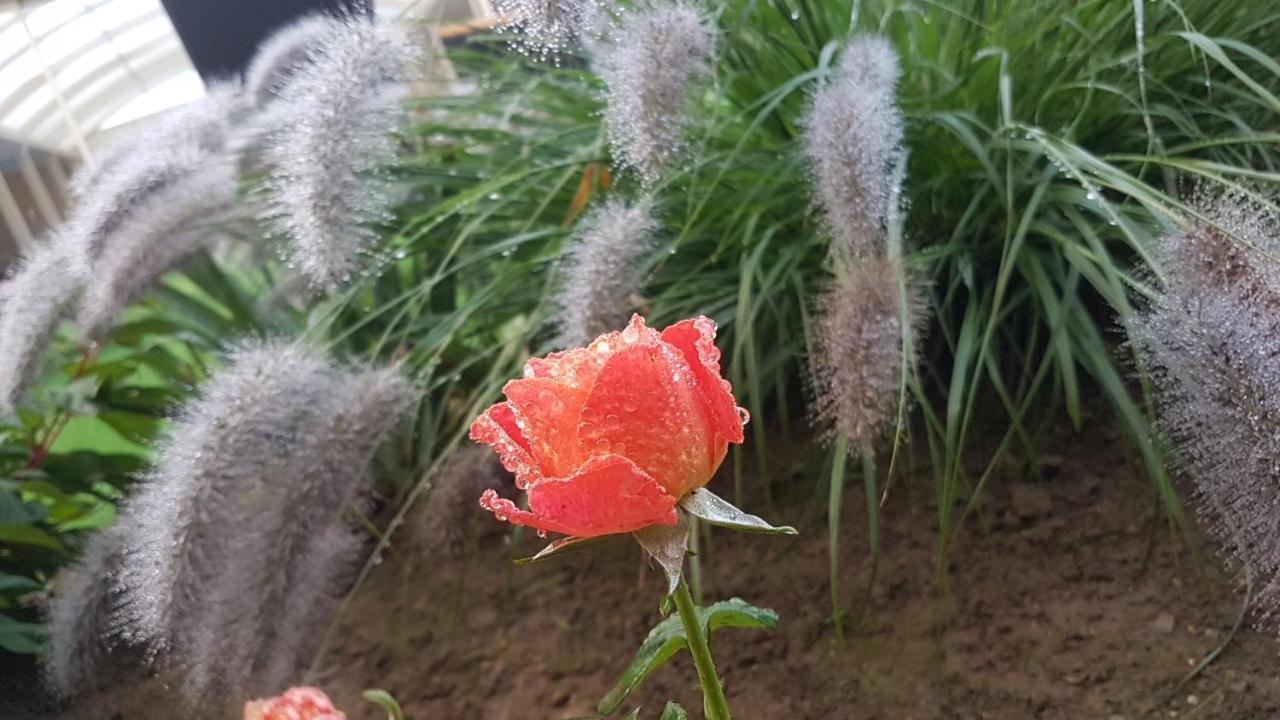 Les Du Pin